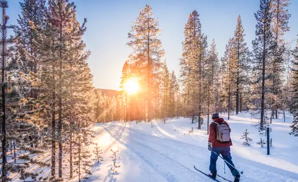cross country skiing in Lapland