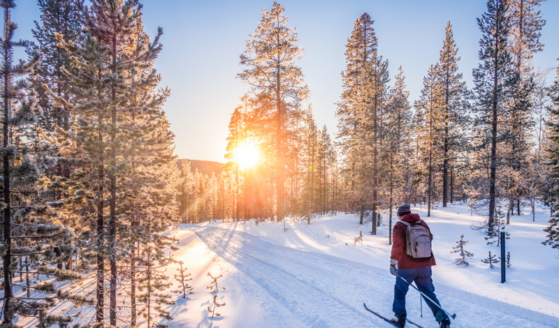 cross country skiing in Lapland