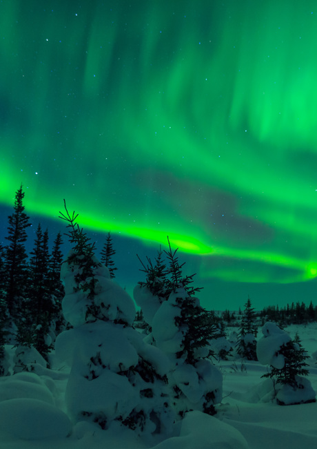 Northern lights in Lapland