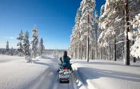 Things to do in Lapland