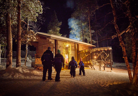 starry night over the Lapland forest