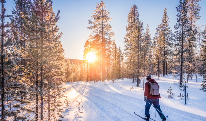 cross country skiing in Lapland