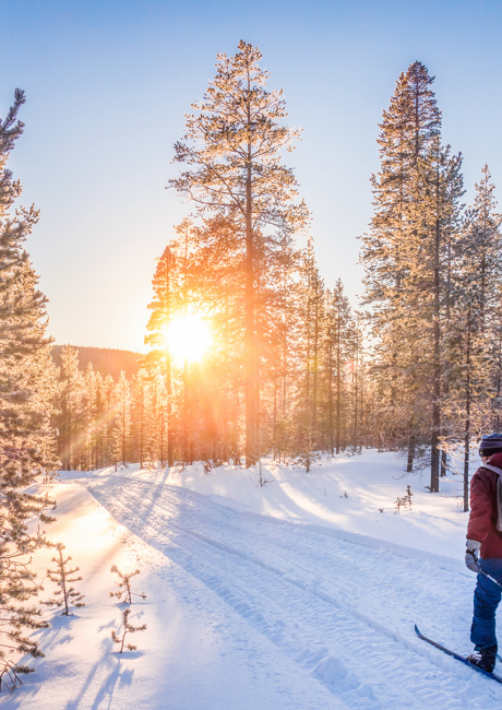 cross country skiing in Lapland