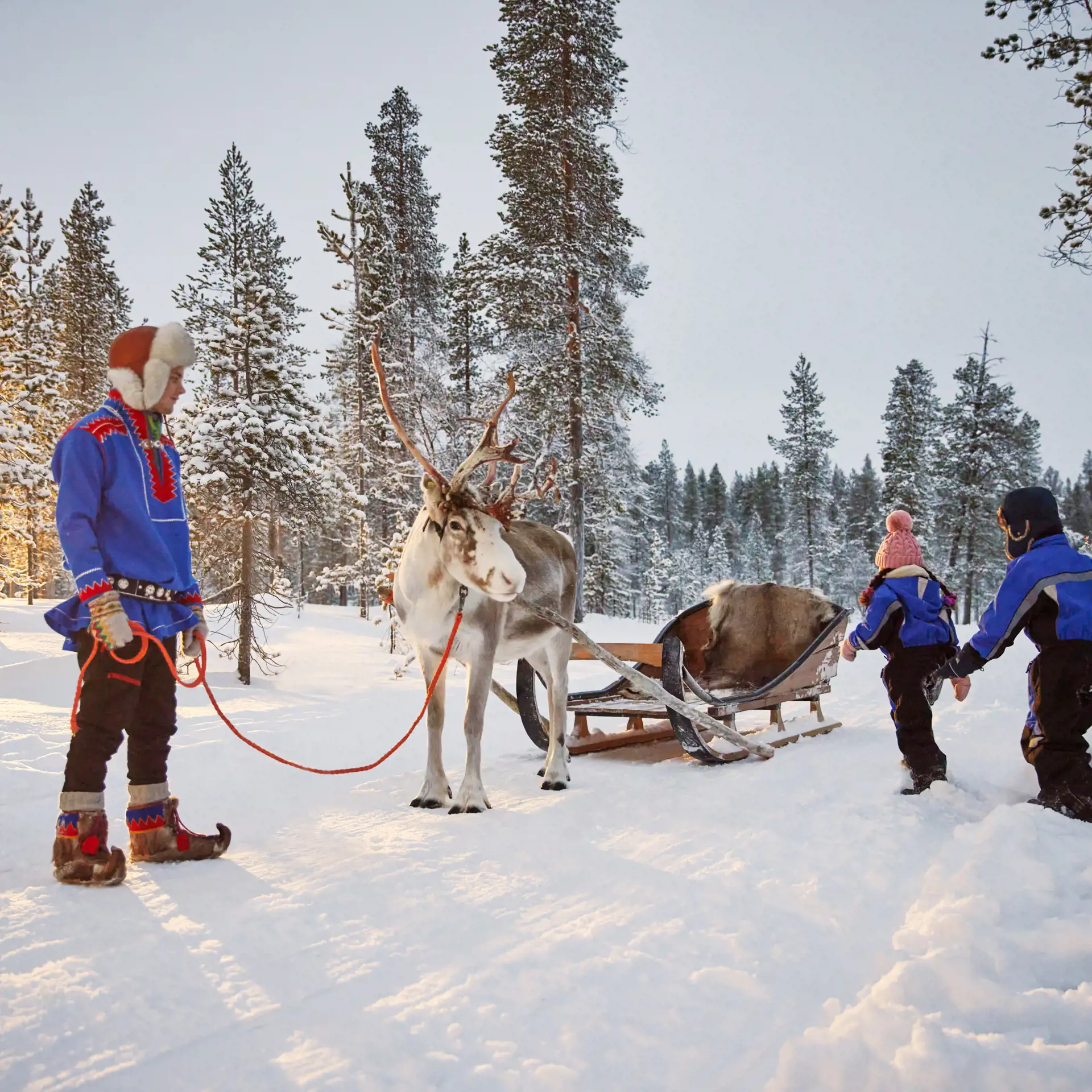 lapland trips from gatwick