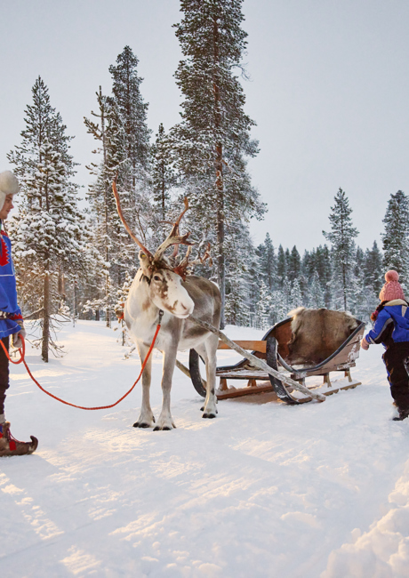 children running to reindeer ride
