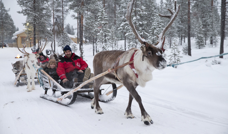 family on reindeer sleigh