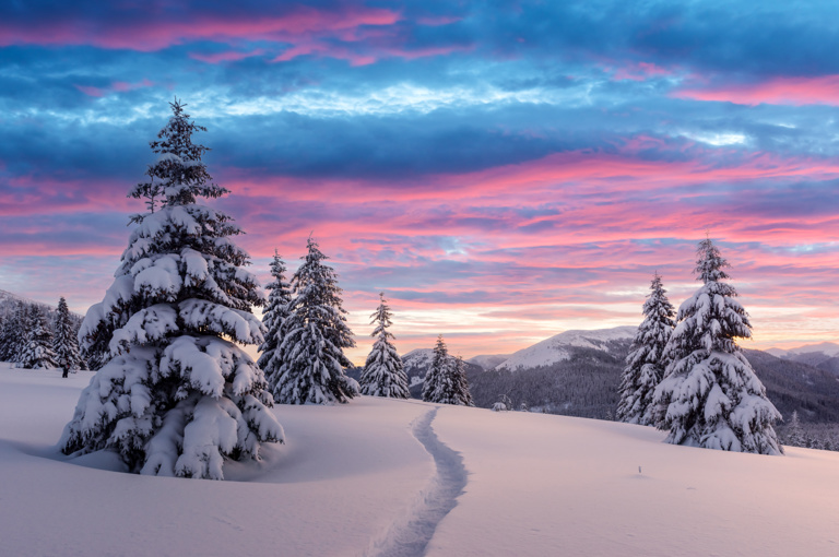 mystical pink hue over Lapland