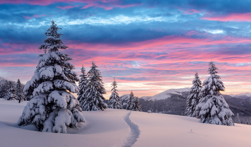 mystical pink hue over Lapland