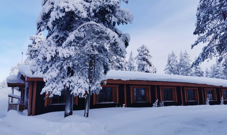Cosy Traditional Log Cabin