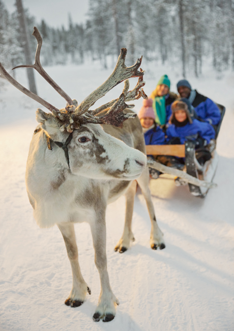reindeer with family on sleigh